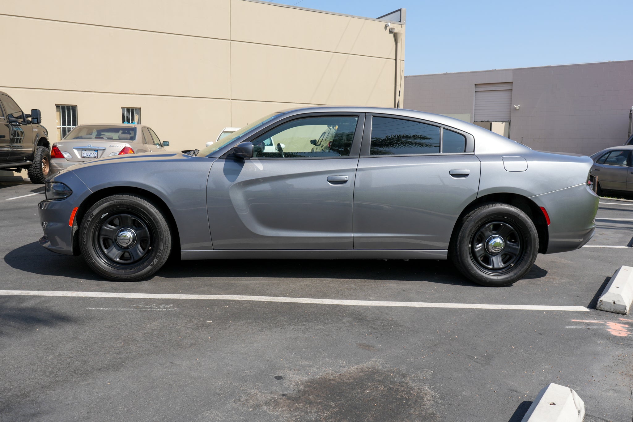 2019 DODGE CHARGER PURSUIT - 0